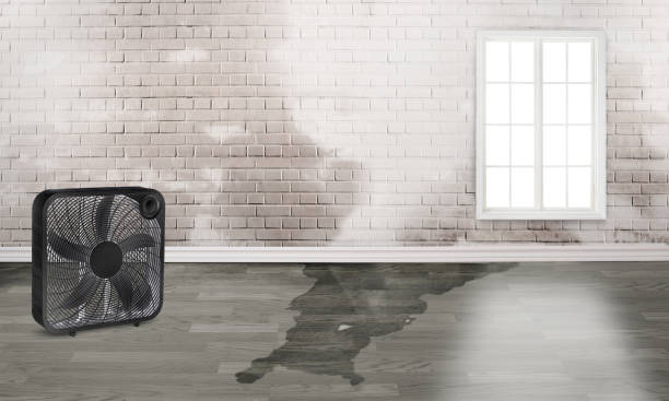 Best Ceiling water damage repair  in Hunter, OH