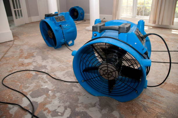 Best Water damage restoration near me  in Hunter, OH