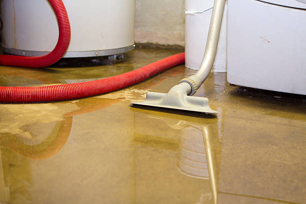 Best Water damage mitigation services  in Hunter, OH