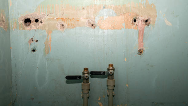 Best Water damage contractors near me  in Hunter, OH