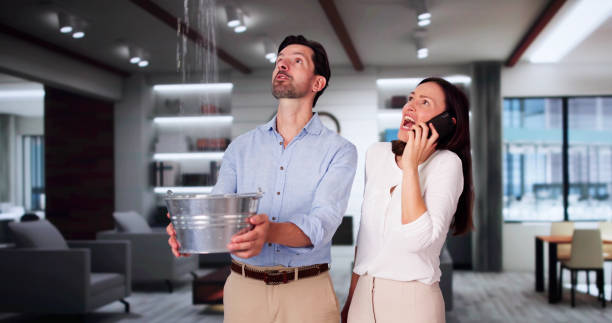Best Fire Damage Restoration  in Hunter, OH