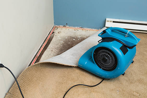 Best Water damage contractors near me  in Hunter, OH